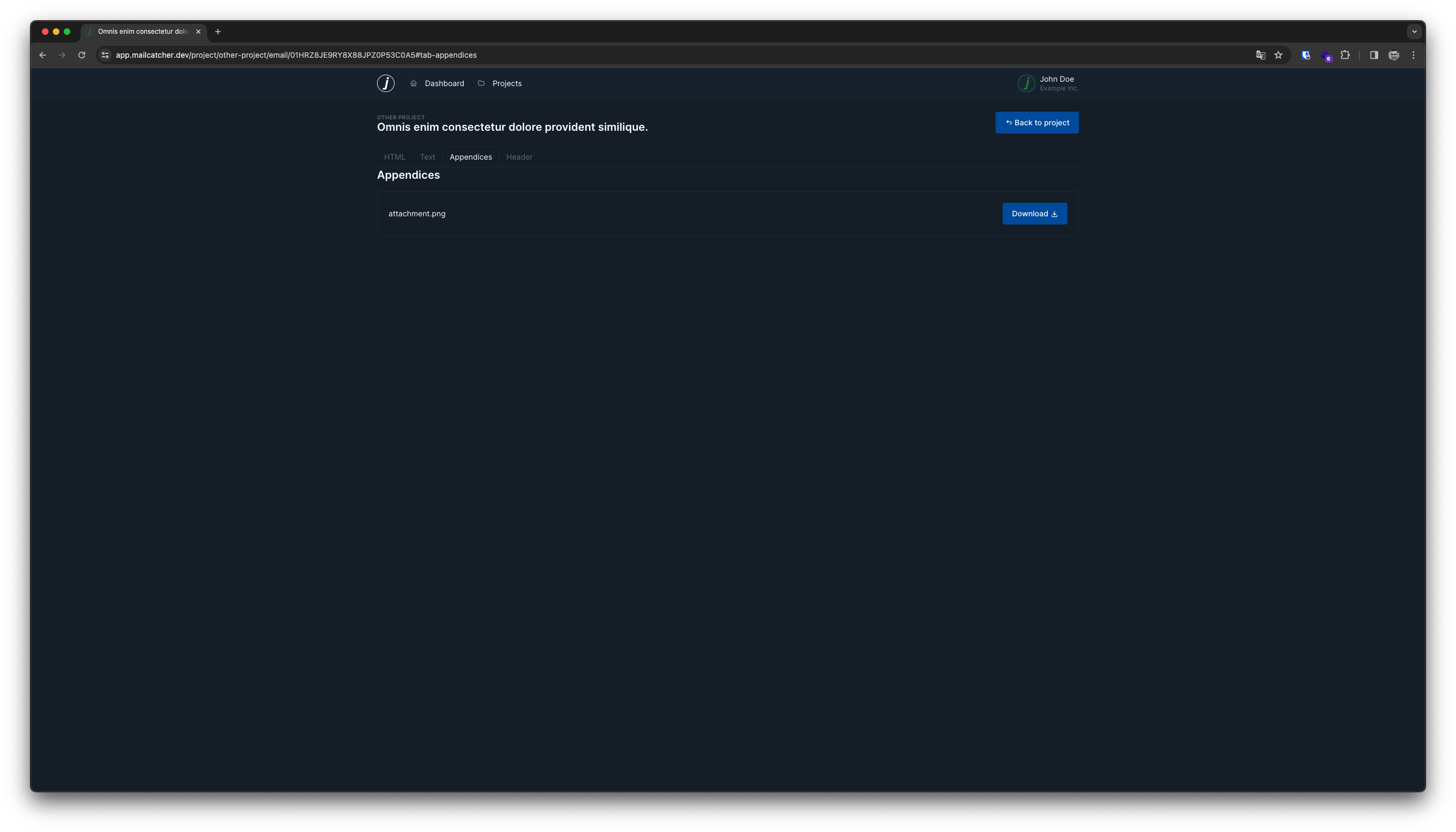 Email in Mailcatcher, showing the appendices of the email